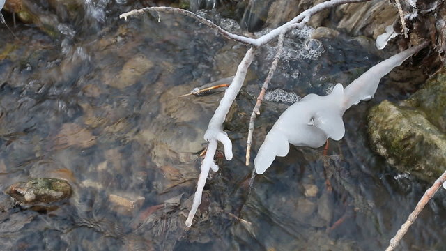 A beautiful crystal clear stream flows and icicle, beautiful winter.