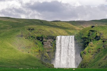 Fototapeta premium Scenic view of famous Skogafoss waterfall, South Iceland.