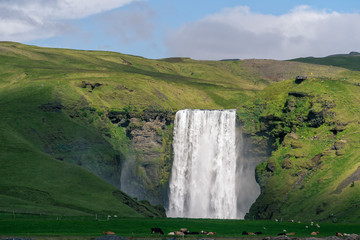Fototapeta premium Scenic view of famous Skogafoss waterfall, South Iceland.