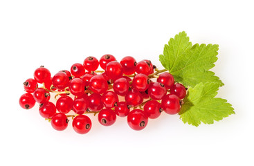 Red currants isolated on white background