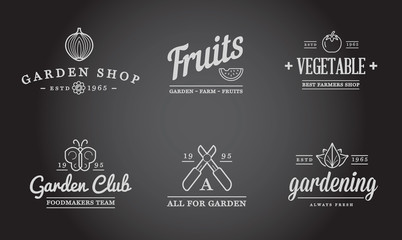 Set of Vector Garden and Farm Elements and Fruits or Vegetables Icons Illustration can be used as Logo or Icon in premium quality