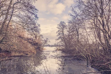 Foto auf Leinwand Frozen river in a forest © Polarpx