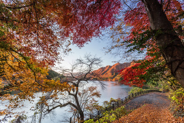 Nature wonder in Minakami Japan