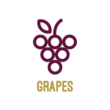 Abstract grapes logo template. Grapes icon