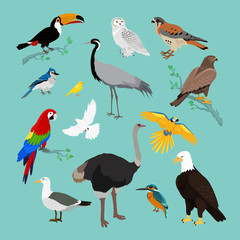 Obraz na płótnie Canvas Collection of Various Birds Flat Design
