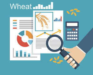 Wheat grain business