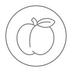 Apple line icon.