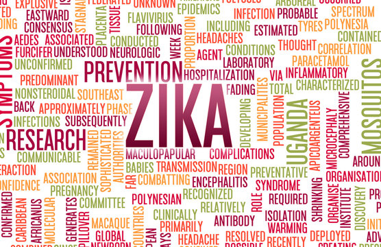 Zika Virus