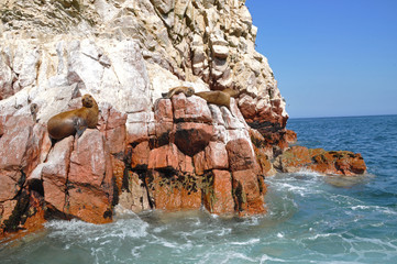 Islas Ballestas, Peru 