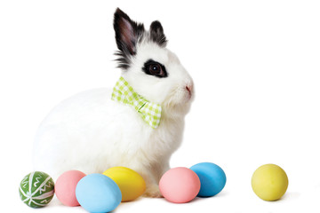 Fluffy white rabbit with Easter eggs isolated on white backgroun