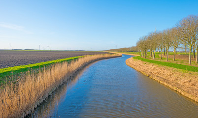 Fototapeta na wymiar Canal through a sunny landscape in winter