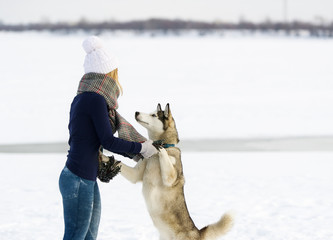 The girl in a white cap and Siberian huskies