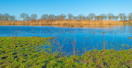 The shore of a lake in sunlight in winter