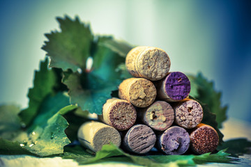 Dated wine bottle corks on the wooden background
