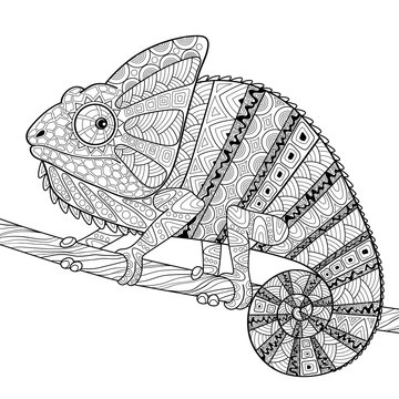 Chameleon. Adult antistress coloring page. Black and white hand drawn doodle for coloring book