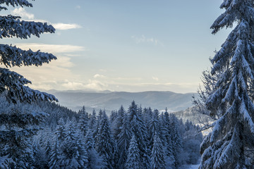 Breathtaking winter landscape
