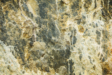 A close up or macro of a rock face