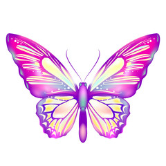 butterflies design