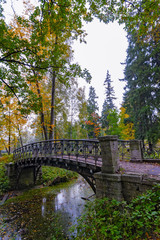 Fototapeta na wymiar Picturesque autumn landscape with old bridge over channel