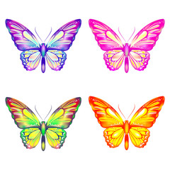 Plakat butterflies design