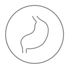 Stomach line icon.