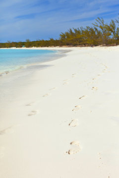 footprints on beach in bahamas