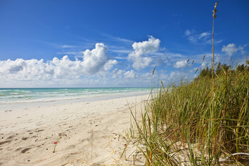 Fototapeta na wymiar beach on grand bahama island