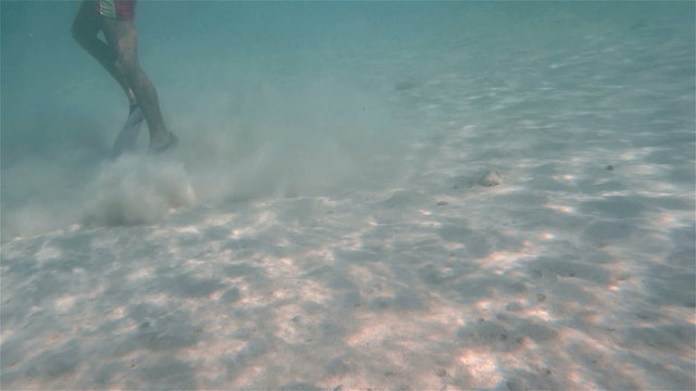 Human legs under water