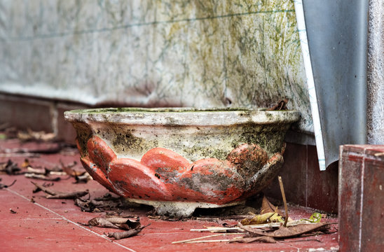 Old flowerpot near Toraja traditional funeral tomb