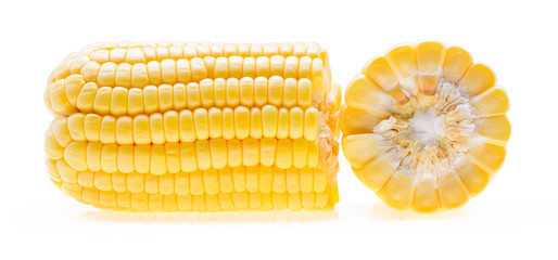 corn on white background