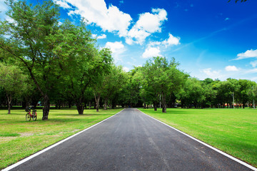 nice country road with blue sky and white clouds background
