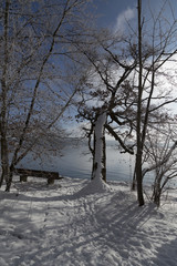 A winter scene with some foot steps on the ground in front of a lake with a bench