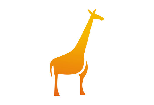 Giraffe Logo Vector Illustration
