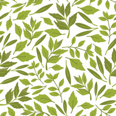 Vector seamless pattern of herbs