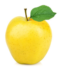 yellow apple one