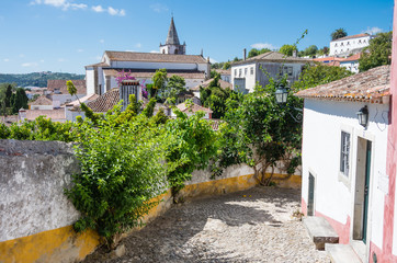 Ood houses on the streets of Obidos
