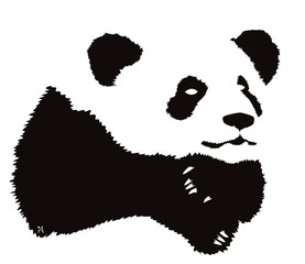 Ilustración de un panda 