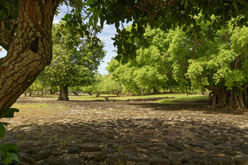 Marae International Maohi de Taputapuatea sur l'Ile de Raiatea en Polyn&eacute;sie Fran&ccedil;aise