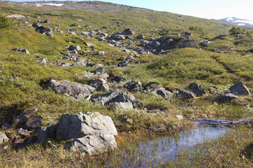 Norwegische Landschaft mit Felsen