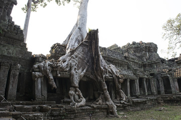 Fototapeta na wymiar Ruinas y templos de Angkor Wat, el templo de Bayon, Banteay Kdei, Templo Ta Prohm, Preah Khan. Camboya. 