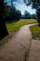 Sunny pathway