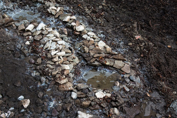 A source in the forest