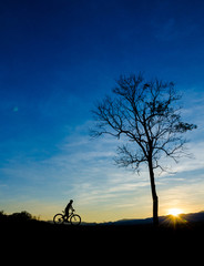 Naklejka na ściany i meble Boy riding bicycle silhouette