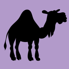 Illustration of the silhouette camel with one hump for the children's book