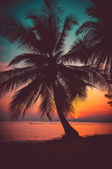 Naklejka na ściany i meble Silhouette coconut palm trees on beach at sunset. Vintage tone.