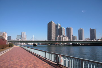 Fototapeta na wymiar 都会の川、青空と高層ビル