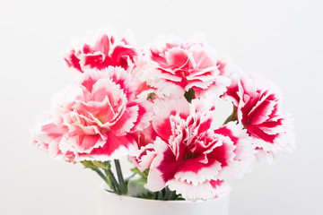 Bouquet of carnation in a glass,soft focus