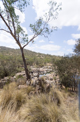 Upper Swan valley vert