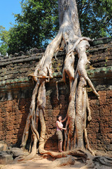 Temple wall with a giant banyan tree