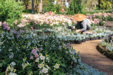 Blur gardener man works in the white garden field